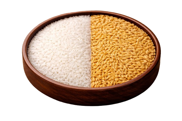 A close up shot of a bowl of rice.